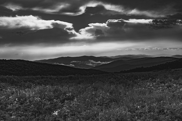 Photo scenic view of field against sky