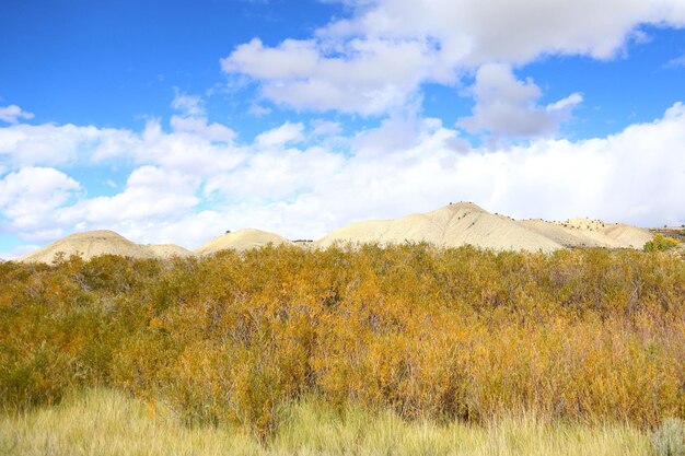 Photo scenic view of field against sky