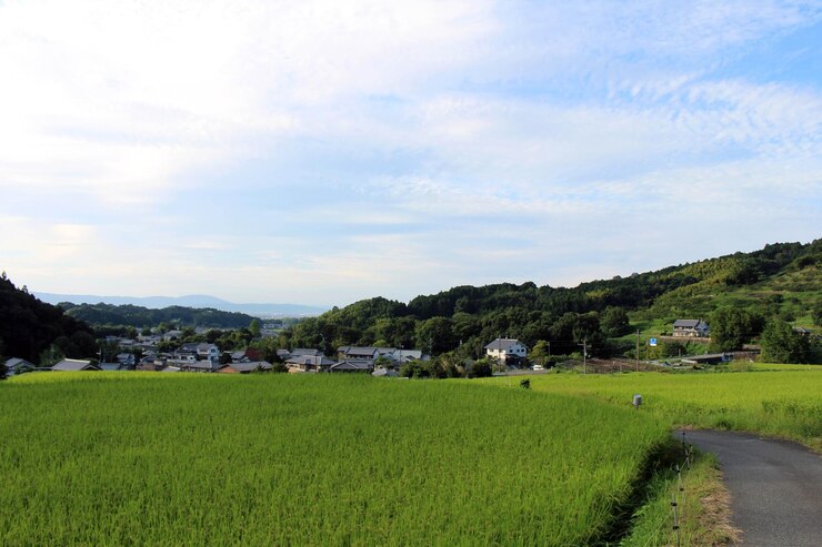 Photo 天空を背景にフィールドの景色