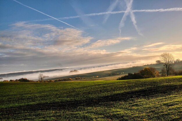 Scenic view of field against sky