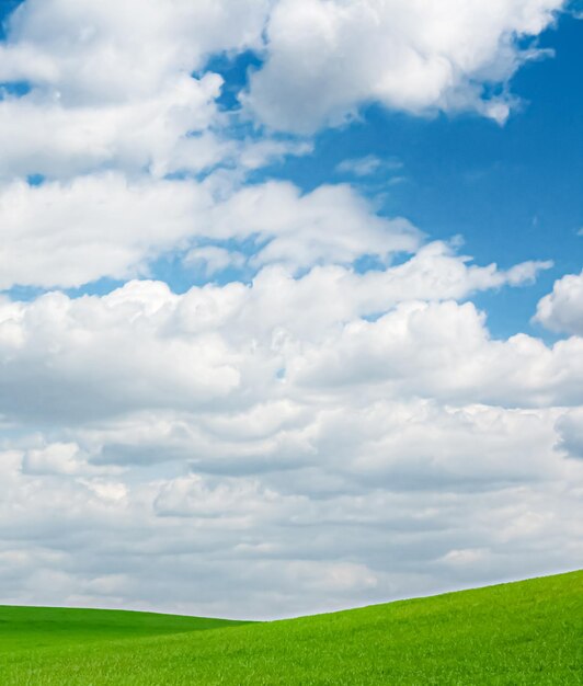 Foto vista panoramica del campo contro il cielo