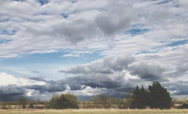 Photo scenic view of field against sky