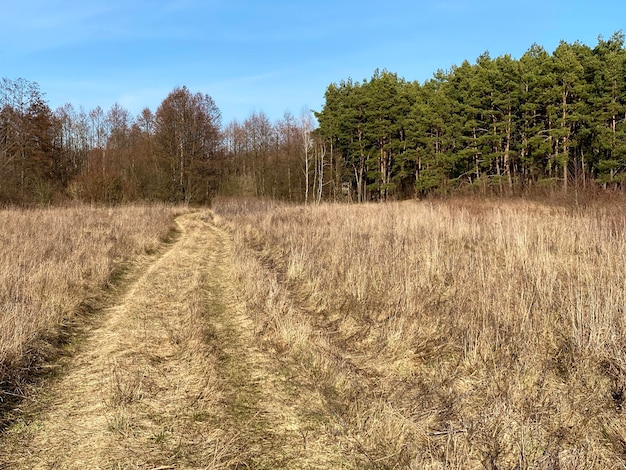 Photo scenic view of field against sky