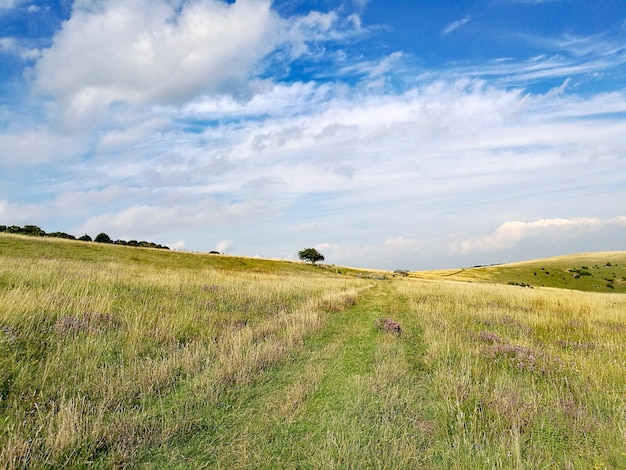 Foto vista panoramica del campo contro il cielo