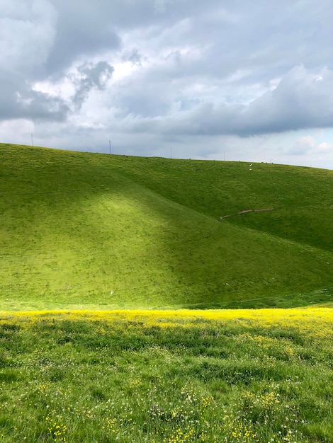 Photo scenic view of field against sky