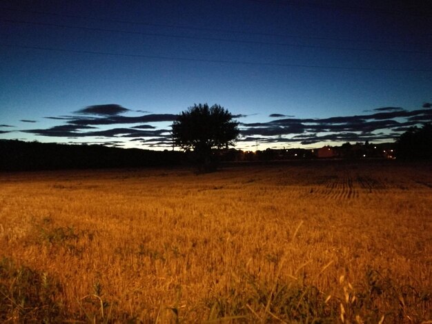 Photo scenic view of field against sky