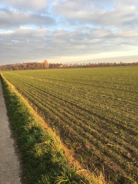 Photo scenic view of field against sky