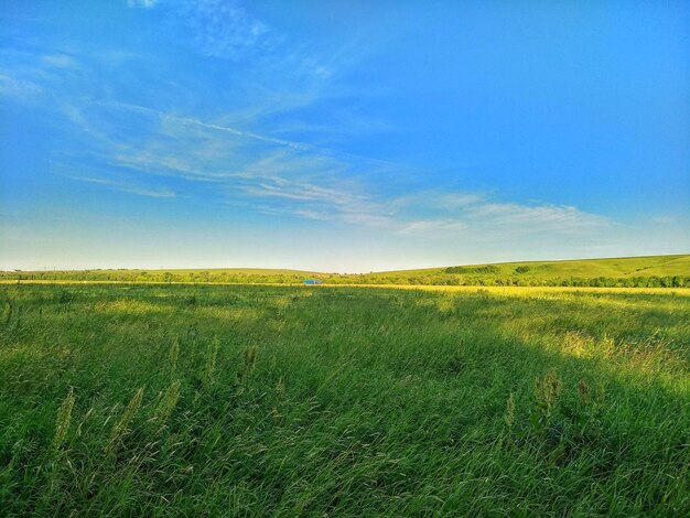 Photo scenic view of field against sky