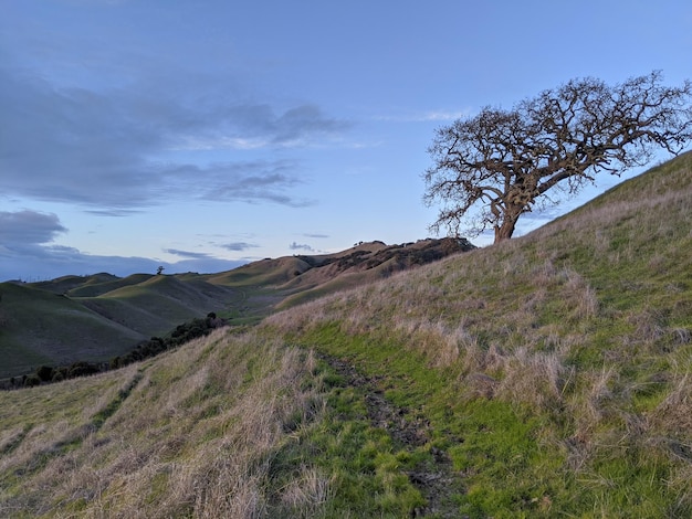 Vista panoramica del campo contro il cielo