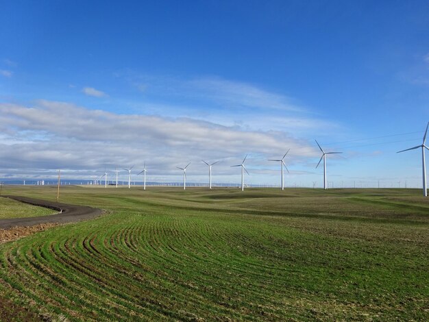 Foto vista panoramica del campo contro il cielo