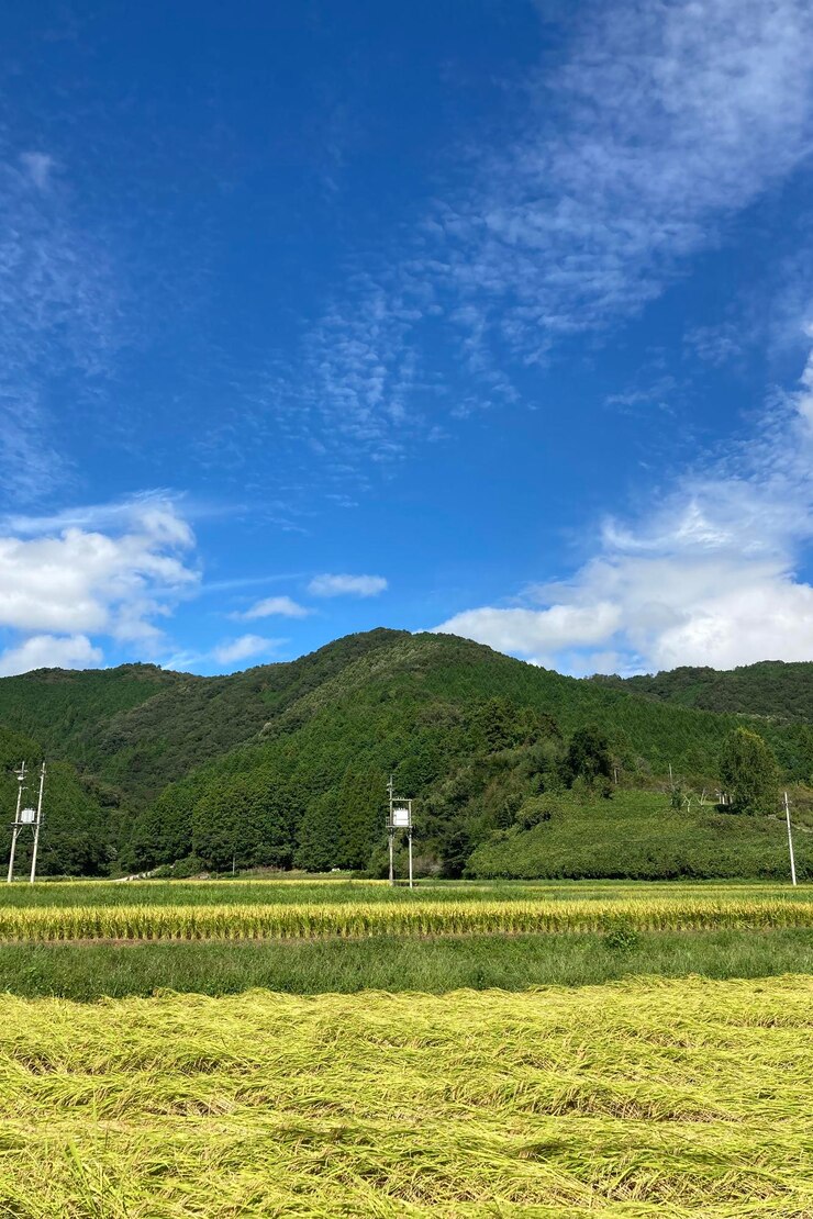 Photo 天空を背景にフィールドの景色