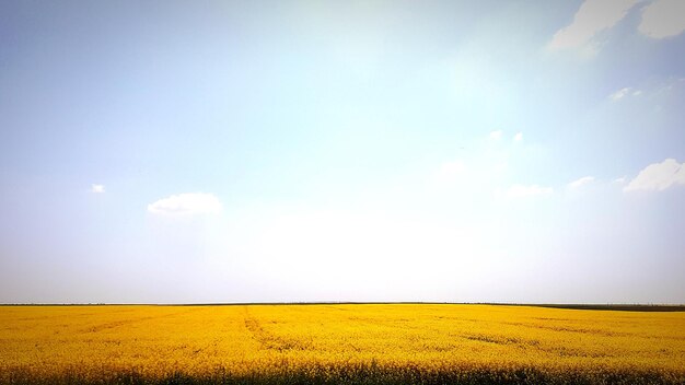 Photo scenic view of field against sky