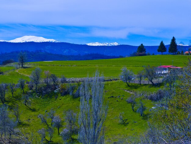 Foto vista panoramica del campo contro il cielo