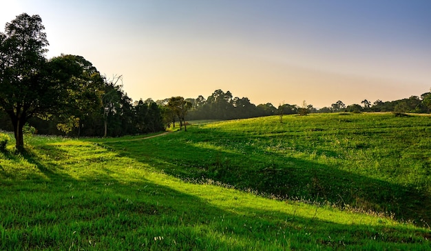 Foto vista panoramica del campo contro il cielo