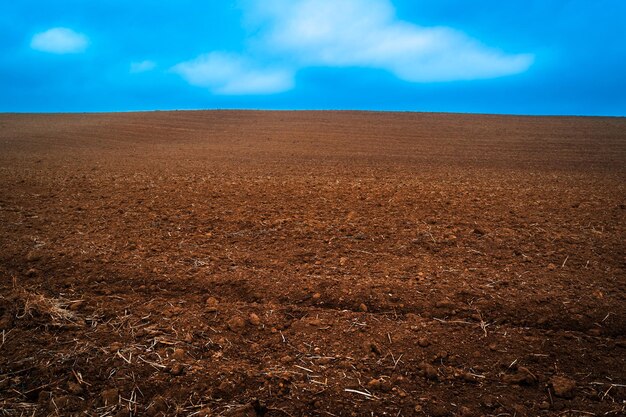 Vista panoramica del campo contro il cielo