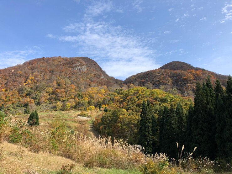 Photo 天空を背景にフィールドの景色
