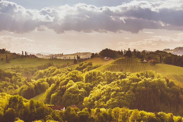 Foto vista panoramica del campo contro il cielo