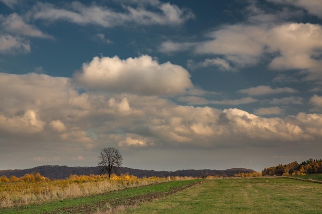 Foto vista panoramica del campo contro il cielo