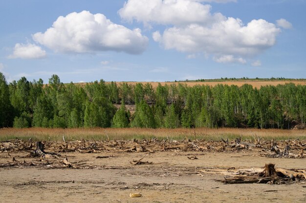 Photo scenic view of field against sky