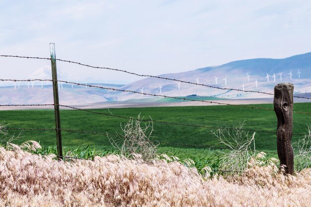 Foto vista panoramica del campo contro il cielo