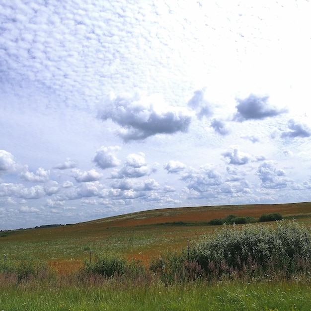 Photo scenic view of field against sky