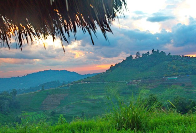 Photo scenic view of field against sky