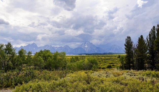 Foto vista panoramica del campo contro il cielo