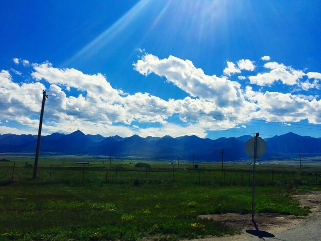 Scenic view of field against sky