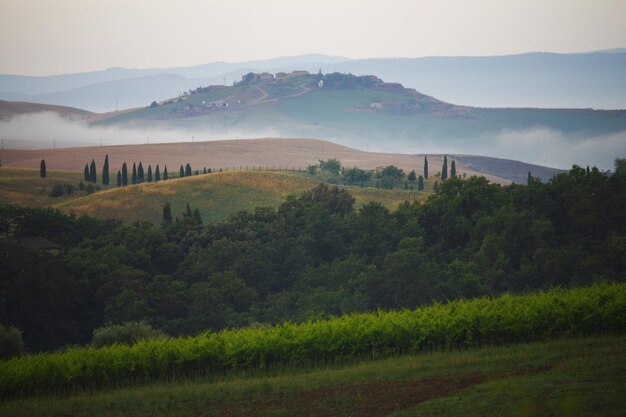 Foto vista panoramica del campo contro il cielo