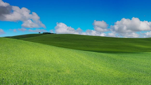 Foto vista panoramica del campo contro il cielo