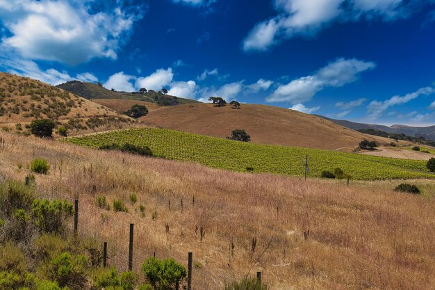 Photo scenic view of field against sky