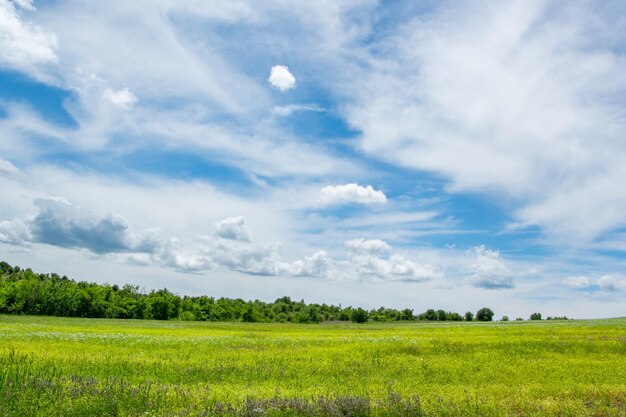 Photo scenic view of field against sky