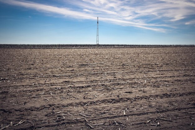 Foto vista panoramica del campo contro il cielo