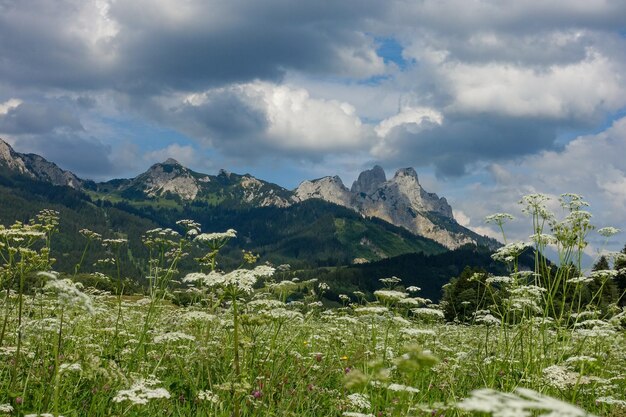 Photo scenic view of field against sky