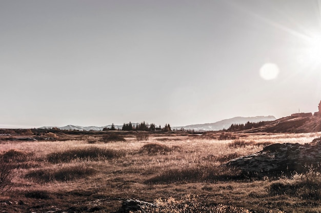 Foto vista panoramica del campo contro il cielo