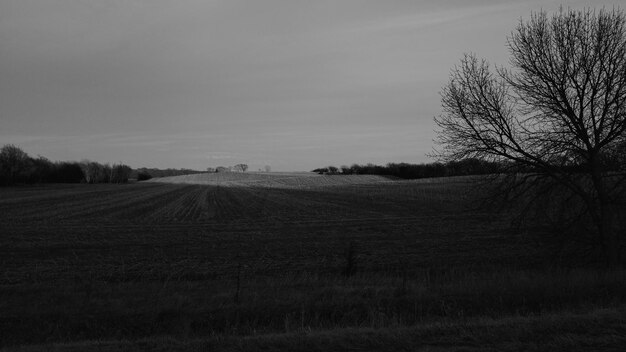 Foto vista panoramica del campo contro il cielo