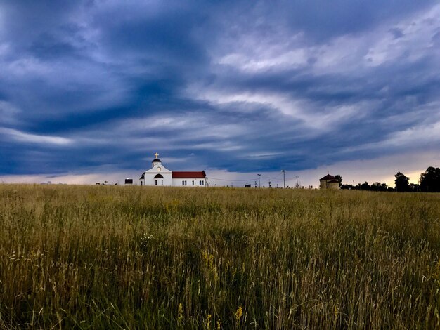 Scenic view of field against sky