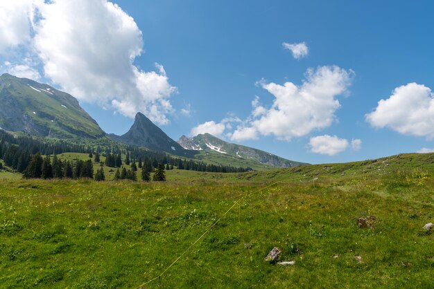 Photo scenic view of field against sky