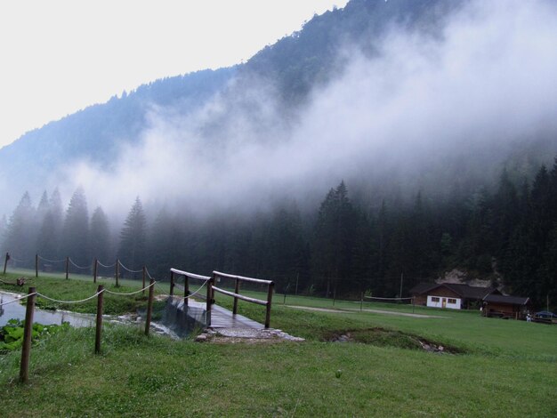 Foto vista panoramica del campo contro il cielo