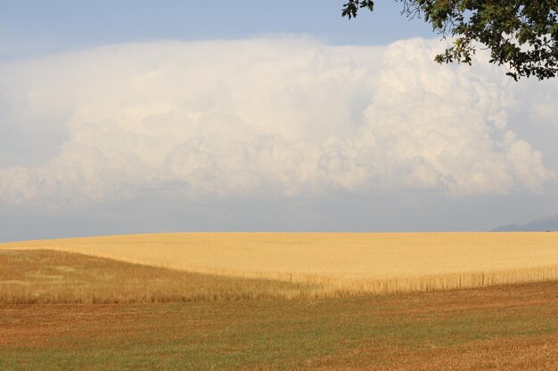 Photo scenic view of field against sky