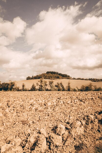 Foto vista panoramica del campo contro il cielo