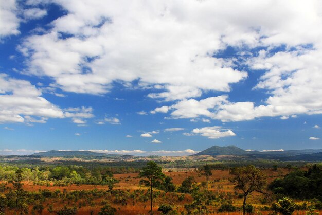 Photo scenic view of field against sky