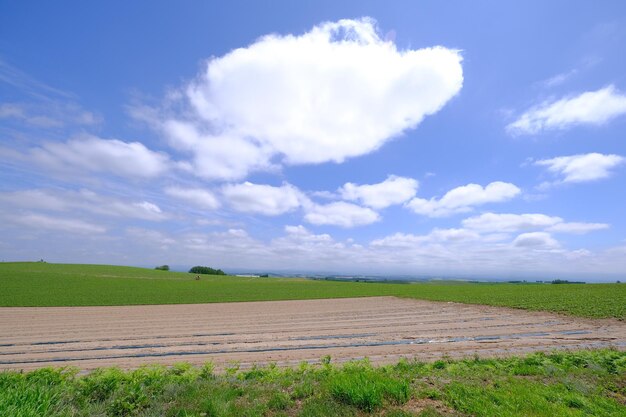 Photo scenic view of field against sky