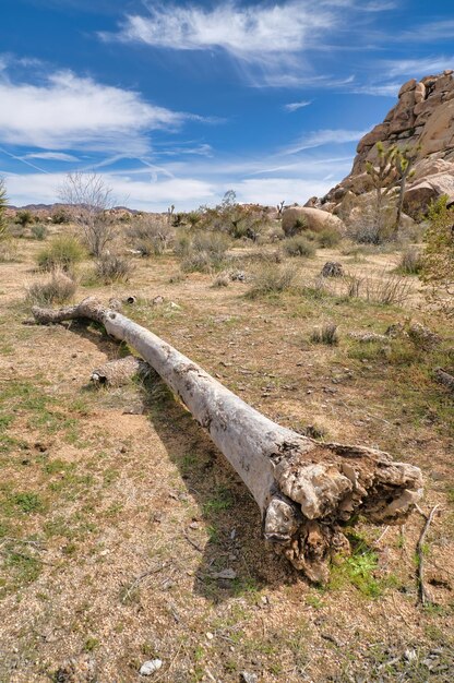 Foto vista panoramica del campo contro il cielo