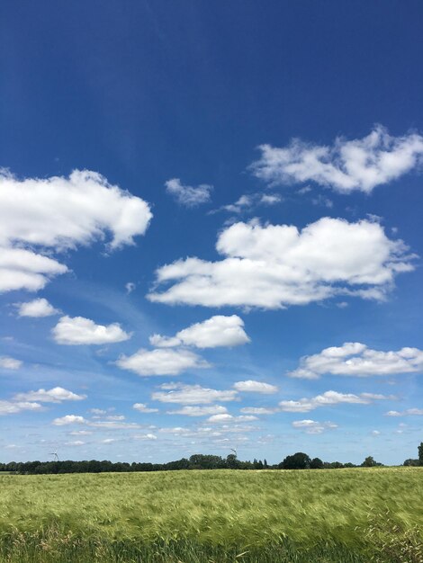 Photo scenic view of field against sky