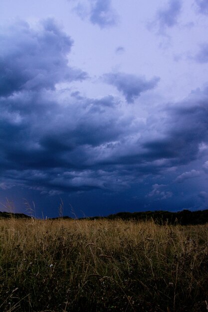 Foto vista panoramica del campo contro il cielo