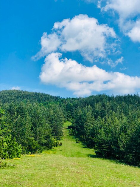 Foto vista panoramica del campo contro il cielo