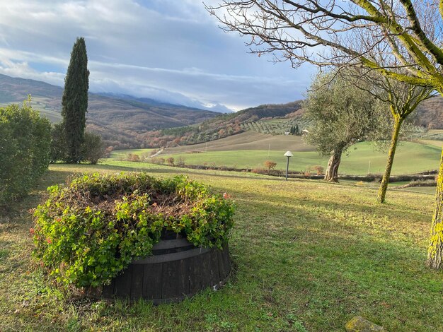 Foto vista panoramica del campo contro il cielo