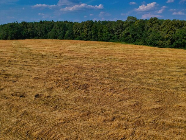 Foto vista panoramica del campo contro il cielo