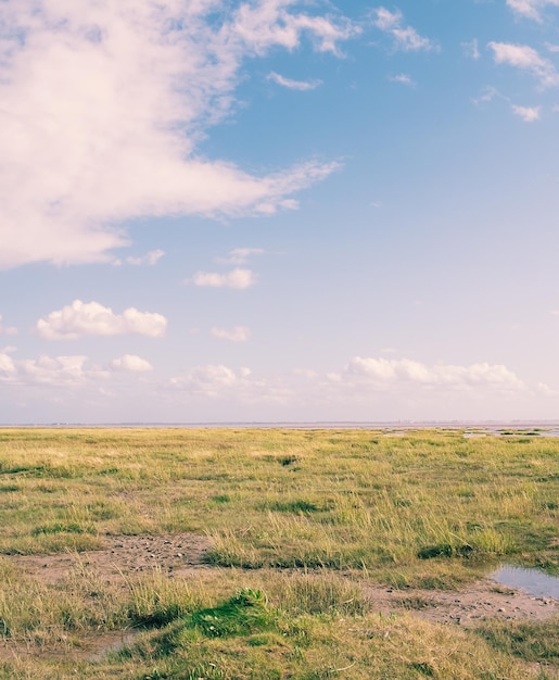 Photo scenic view of field against sky